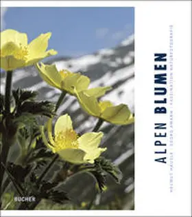 Häusle / Amann |  Alpen Blumen | Buch |  Sack Fachmedien