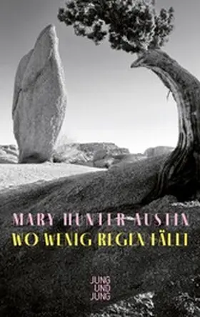 Austin | Wo wenig Regen fällt | E-Book | sack.de