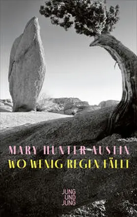 Hunter Austin |  Wo wenig Regen fällt | Buch |  Sack Fachmedien