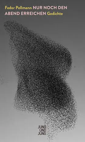 Pellmann / Kunst |  Nur noch den Abend erreichen | Buch |  Sack Fachmedien