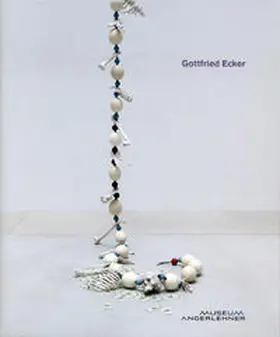 Museum Angerlehner |  Gottfried Ecker – Arbeiten 2011–2013 | Buch |  Sack Fachmedien