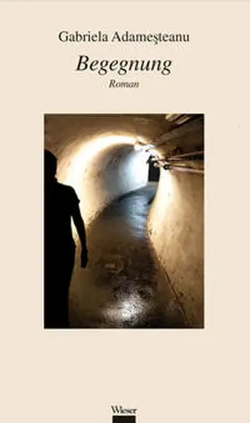 Adame?teanu |  Begegnung | Buch |  Sack Fachmedien