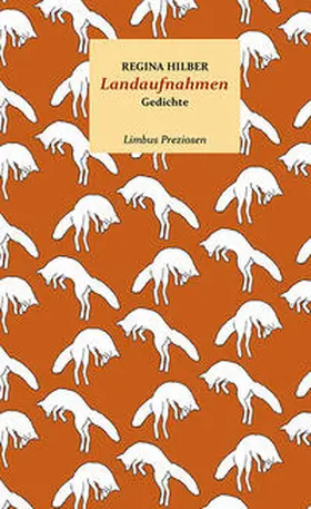 Hilber |  Landaufnahmen | Buch |  Sack Fachmedien