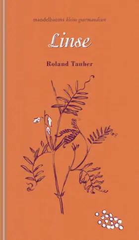 Tauber |  Linse | Buch |  Sack Fachmedien