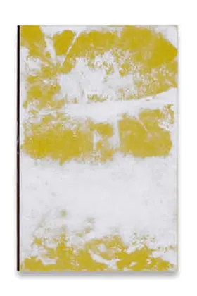 Stadt Luzern und Kunstmuseum Luzern / Kindle / Chodzinksi |  Simon Kindle | Buch |  Sack Fachmedien