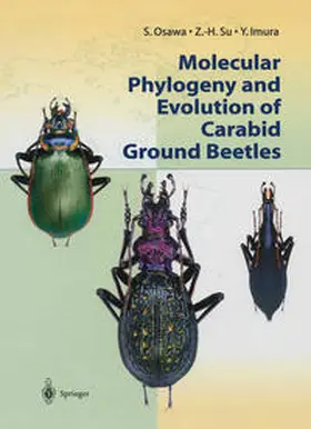 Osawa / Imura / Su |  Molecular Phylogeny and Evolution of Carabid Ground Beetles | Buch |  Sack Fachmedien