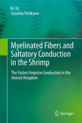 Terakawa / Xu |  Myelinated Fibers and Saltatory Conduction in the Shrimp | Buch |  Sack Fachmedien