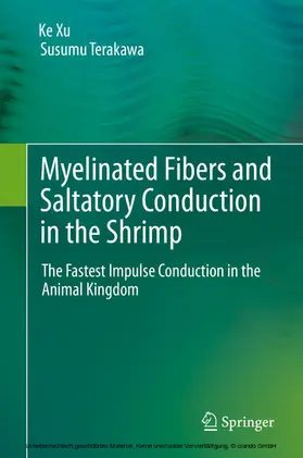 Xu / Terakawa |  Myelinated Fibers and Saltatory Conduction in the Shrimp | eBook | Sack Fachmedien