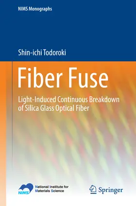 Todoroki | Fiber Fuse | E-Book | sack.de