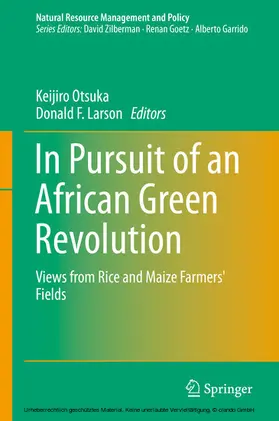 Otsuka / Larson | In Pursuit of an African Green Revolution | E-Book | sack.de