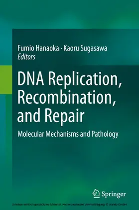 Hanaoka / Sugasawa |  DNA Replication, Recombination, and Repair | eBook | Sack Fachmedien