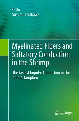 Xu / Terakawa |  Myelinated Fibers and Saltatory Conduction in the Shrimp | Buch |  Sack Fachmedien