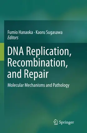 Sugasawa / Hanaoka |  DNA Replication, Recombination, and Repair | Buch |  Sack Fachmedien