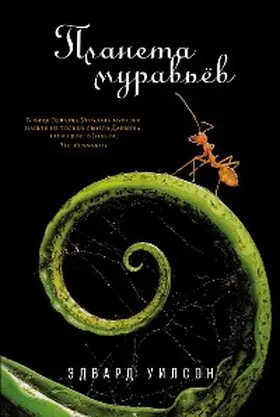 Wilson |  Tales from the Ant World | eBook | Sack Fachmedien