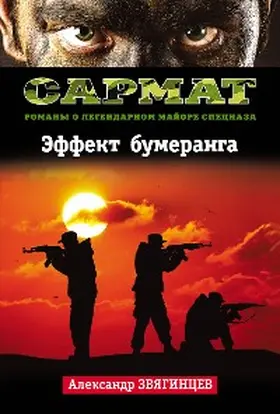 Zvyagintsev |  Effekt bumeranga | eBook | Sack Fachmedien