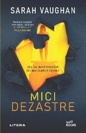 Vaughan |  Mici dezastre | eBook | Sack Fachmedien