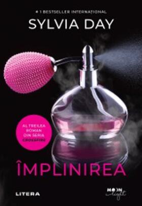 Day |  Implinirea | eBook | Sack Fachmedien