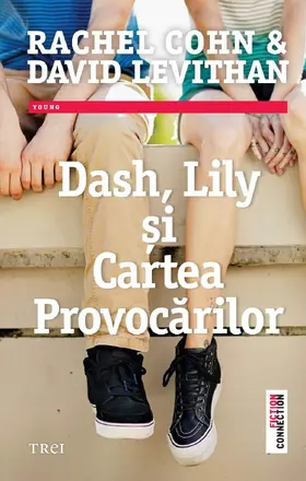 Cohn / Levithan |  Dash, Lily si cartea provocarilor | eBook | Sack Fachmedien