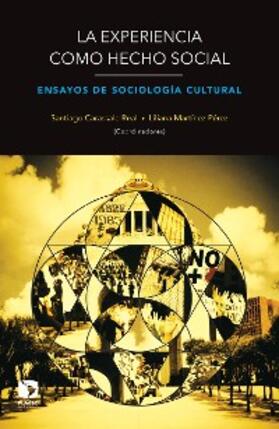 Carassale / Martínez Pérez / Suárez Gómez |  La experiencia como hecho social | eBook | Sack Fachmedien