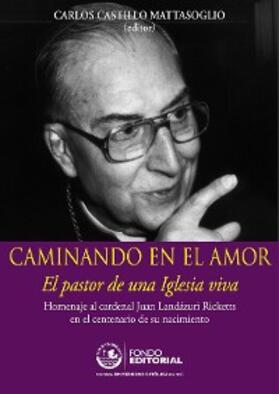 Castillo |  Caminando en el amor | eBook | Sack Fachmedien