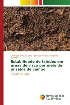 Lima / Minette / Marques |  Estabilidade de taludes em áreas de risco por meio de ensaios de campo | Buch |  Sack Fachmedien