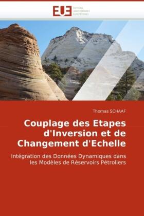Schaaf |  Couplage des Etapes d''Inversion et de Changement d''Echelle | Buch |  Sack Fachmedien