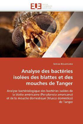 Bouamama-L |  Analyse Des Bactéries Isolées Des Blattes Et Des Mouches de Tanger | Buch |  Sack Fachmedien