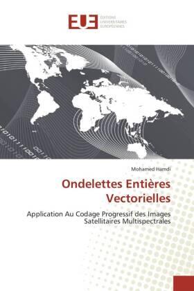 Hamdi |  Ondelettes Entières Vectorielles | Buch |  Sack Fachmedien