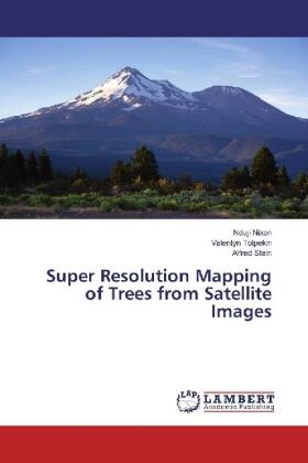 Nixon / Tolpekin / Stein |  Super Resolution Mapping of Trees from Satellite Images | Buch |  Sack Fachmedien
