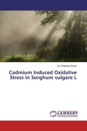 Kumar |  Cadmium Induced Oxidative Stress in Sorghum vulgare L | Buch |  Sack Fachmedien
