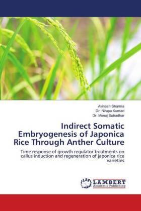 Sharma / Kumari / Sutradhar |  Indirect Somatic Embryogenesis of Japonica Rice Through Anther Culture | Buch |  Sack Fachmedien
