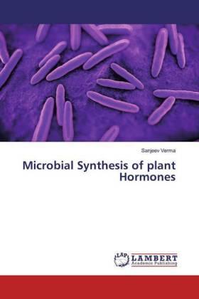 Verma |  Microbial Synthesis of plant Hormones | Buch |  Sack Fachmedien