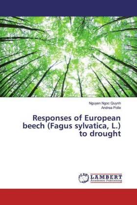 Ngoc Quynh / Polle |  Responses of European beech (Fagus sylvatica, L.) to drought | Buch |  Sack Fachmedien