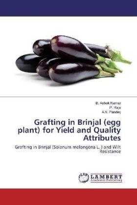 Ashok Kumar / Raja / Pandey |  Grafting in Brinjal (egg plant) for Yield and Quality Attributes | Buch |  Sack Fachmedien