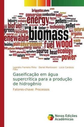 Ferreira Pinto / Mantovani / Cardozo Filho |  Gaseificação em água supercrítica para a produção de hidrogênio | Buch |  Sack Fachmedien