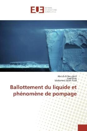 Bouabidi / Driss / Abid |  Ballottement du liquide et phénomène de pompage | Buch |  Sack Fachmedien