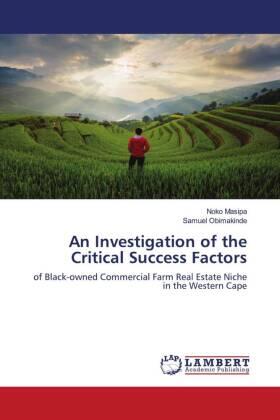 Masipa / Obimakinde |  An Investigation of the Critical Success Factors | Buch |  Sack Fachmedien