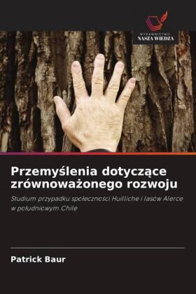 Baur |  Przemy¿lenia dotycz¿ce zrównowa¿onego rozwoju | Buch |  Sack Fachmedien