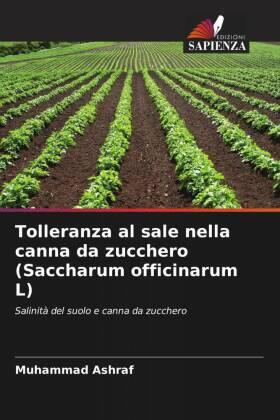 Ashraf |  Tolleranza al sale nella canna da zucchero (Saccharum officinarum L) | Buch |  Sack Fachmedien