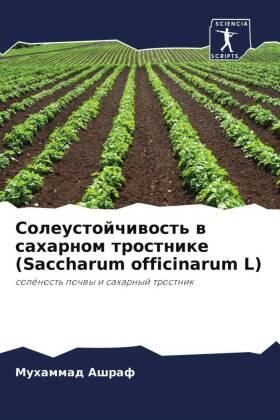 Ashraf |  Soleustojchiwost' w saharnom trostnike (Saccharum officinarum L) | Buch |  Sack Fachmedien