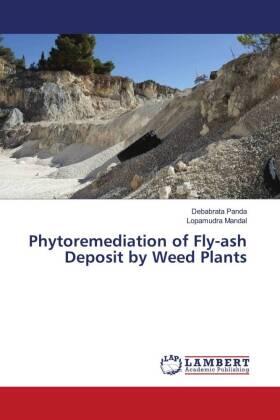 Panda / Mandal |  Phytoremediation of Fly-ash Deposit by Weed Plants | Buch |  Sack Fachmedien