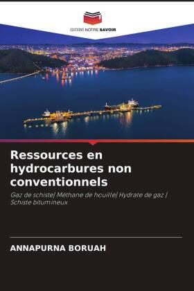 Boruah |  Ressources en hydrocarbures non conventionnels | Buch |  Sack Fachmedien
