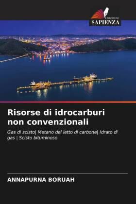 Boruah |  Risorse di idrocarburi non convenzionali | Buch |  Sack Fachmedien