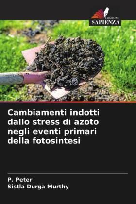 Peter / Murthy |  Cambiamenti indotti dallo stress di azoto negli eventi primari della fotosintesi | Buch |  Sack Fachmedien