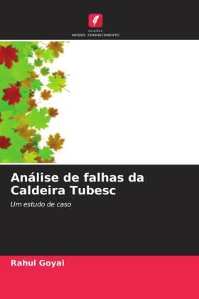Goyal |  Análise de falhas da Caldeira Tubesc | Buch |  Sack Fachmedien