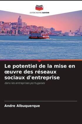Albuquerque |  Le potentiel de la mise en ¿uvre des réseaux sociaux d'entreprise | Buch |  Sack Fachmedien