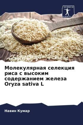 Kumar |  Molekulqrnaq selekciq risa s wysokim soderzhaniem zheleza Oryza sativa L | Buch |  Sack Fachmedien