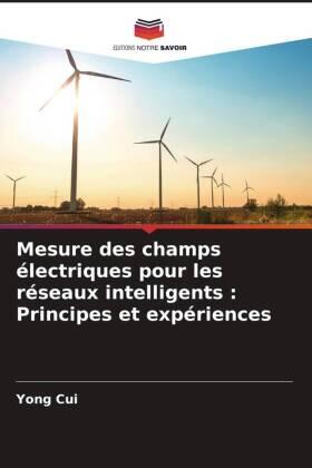 Cui |  Mesure des champs électriques pour les réseaux intelligents : Principes et expériences | Buch |  Sack Fachmedien