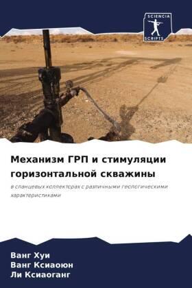 Hui / Xiaoün / Xiaogang |  Mehanizm GRP i stimulqcii gorizontal'noj skwazhiny | Buch |  Sack Fachmedien
