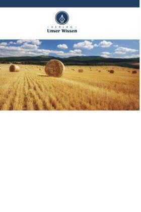 Gupta |  Studien über Reisstroh und Baggasasche als puzzolanische Materialien | Buch |  Sack Fachmedien